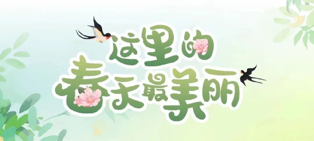 响堂山｜枣树荒古村金色花海免费开放！
